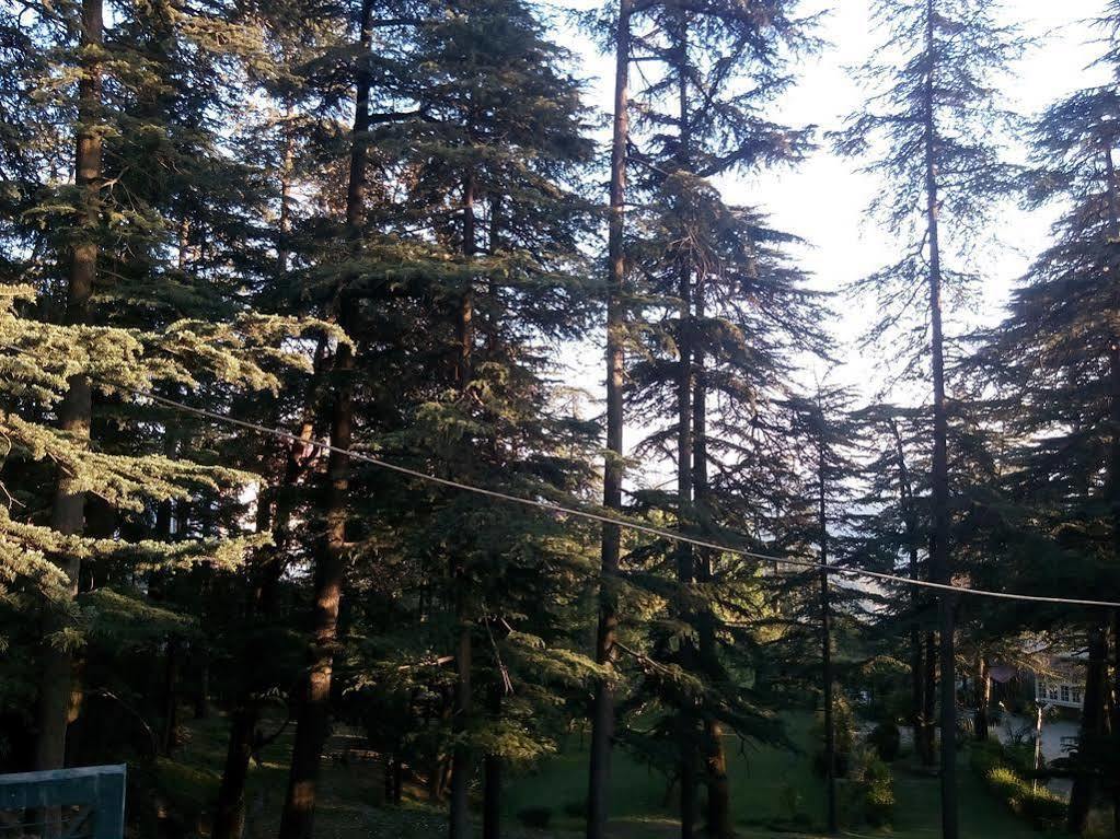 Torrentium Lodge Shimla Exteriör bild