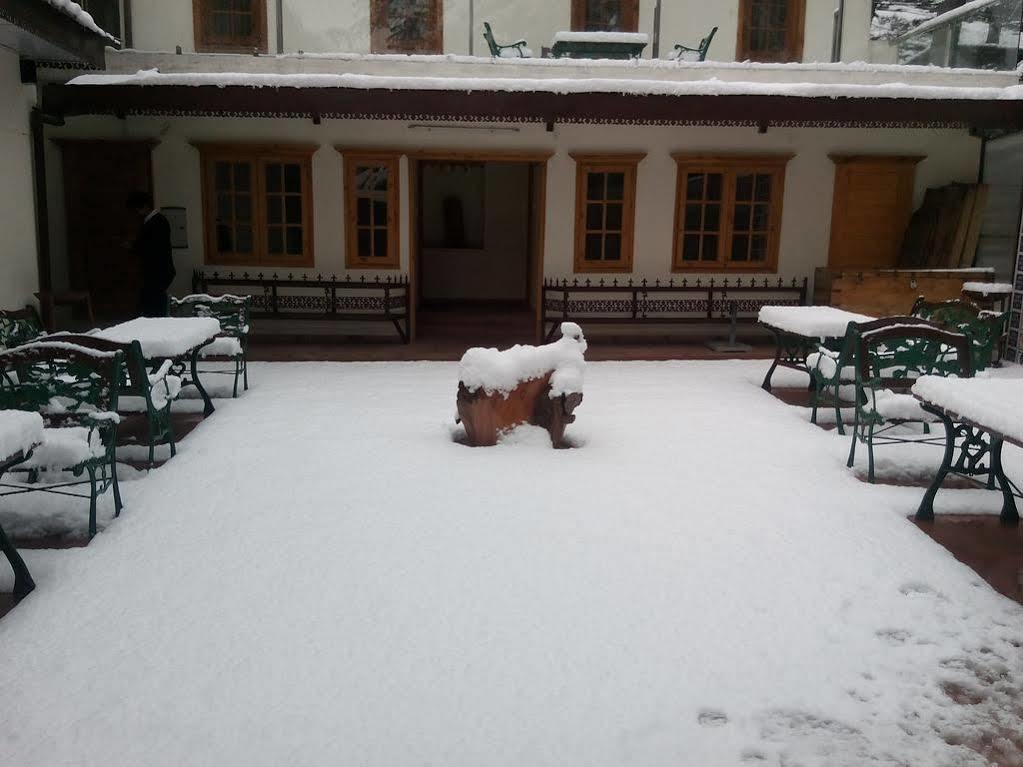 Torrentium Lodge Shimla Exteriör bild